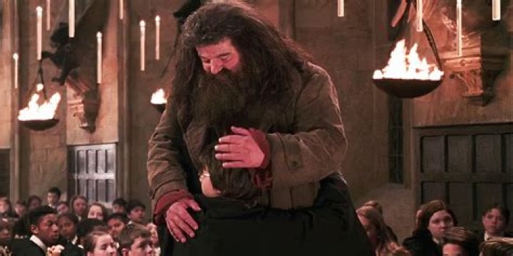 
5 Unforgettable Rubeus Hagrid Scenes On “Harry Potter” 