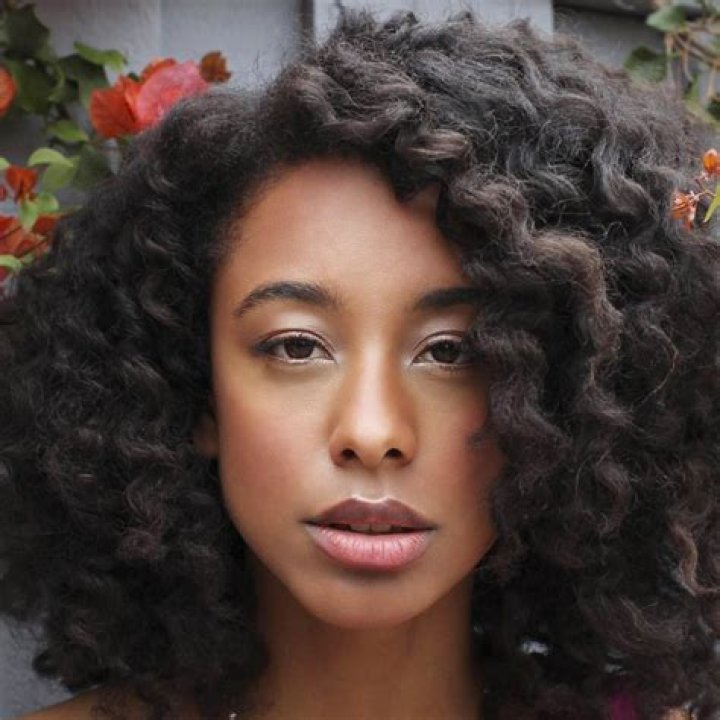 Alise Willis Height, Weight, Net Worth, Age, Birthday, Wikipedia, Who, Instagram, Biography