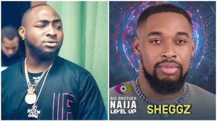 
BBNaija S7: What Phyna Told Sheggz To Do If Bella Is Having An Issue With A Housemate & How Sheggz Reacted 