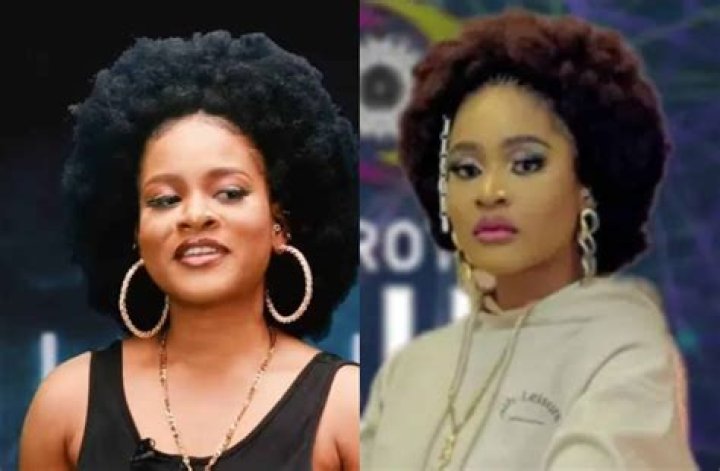 
BBNaija Season 7: Mixed Reactions As Search Engine Declares Phyna The Winner Of The Reality Show 