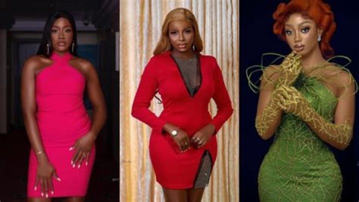 
BBNaija’s Wathoni, Christy O and Daniella Under Fire Over Recent Post 
