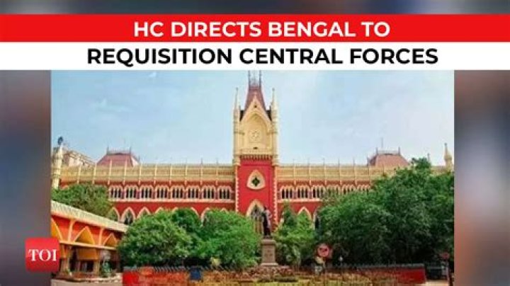 
Bengal govt to submit report on carriage-hauling horses to Calcutta HC by Nov 21 