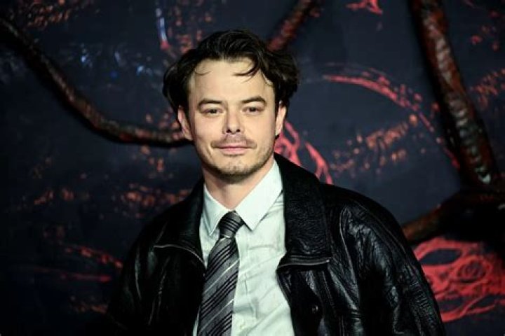 
Charlie Heaton Age, Wikipedia, Who, Nationality, Biography 