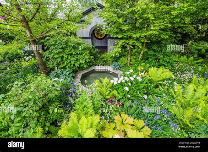 Chris Beardshaw Height, Weight, Net Worth, Age, Wiki, Who, Instagram, Biography