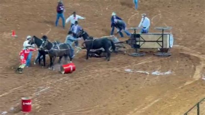 
Chuckwagon Cody Ridsdale Accident Video Gone Viral -What Happened To Him 