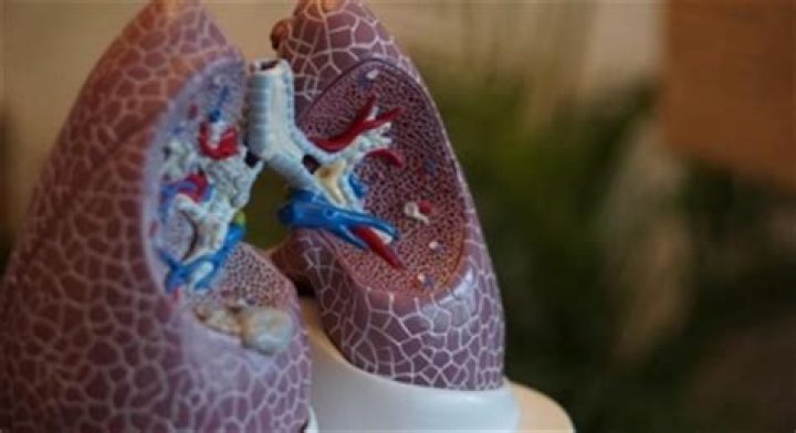 
Damage caused by polluted air extends way beyond the lungs 