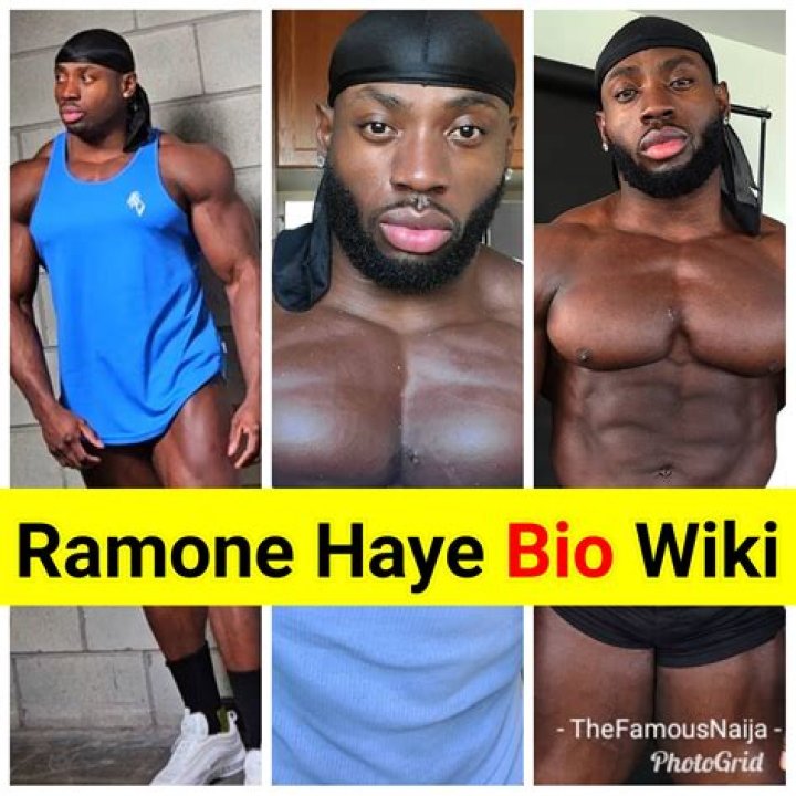 
Daniel Haye Height, Weight, Net Worth, Age, Birthday, Wikipedia, Who, Nationality, Biography 