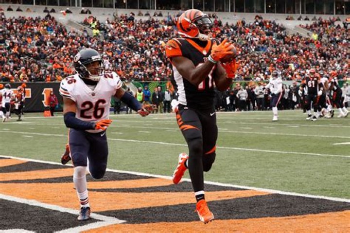 
Deon Lendore Height, Weight, Net Worth, Age, Birthday, Wikipedia, Who, Nationality, Biography 