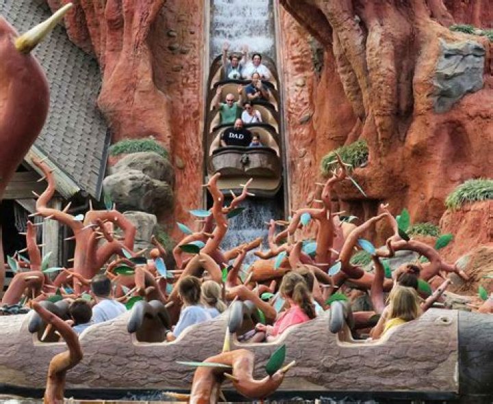 
Disney World’s Splash Mountain Will Permanently Close in January for ‘Princess and the Frog’ Reimagining 