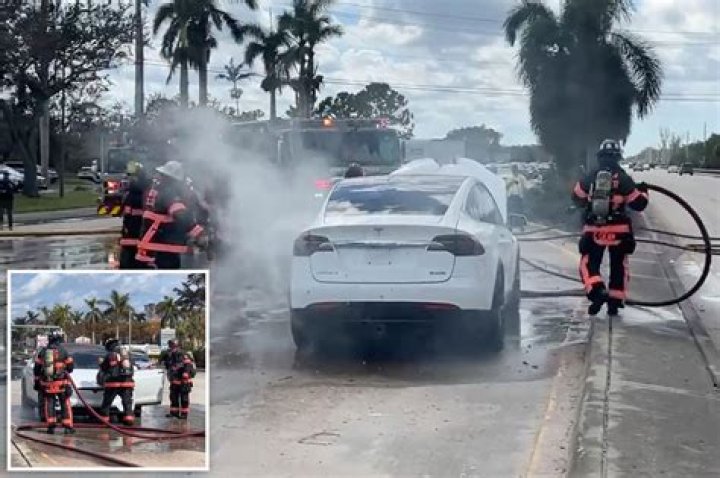 
Electric vehicles catching fire in Florida after Hurricane Ian 
