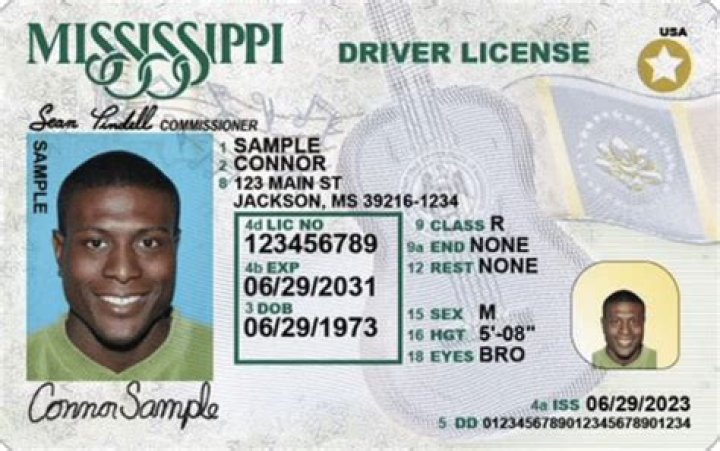 
Emma Raducanu Wants To Get A Driver’s License Since She Is Enthusiastic About Motorsports 