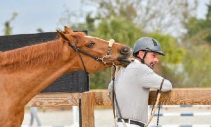Equestrian Craig Starr Accident Linked To Death