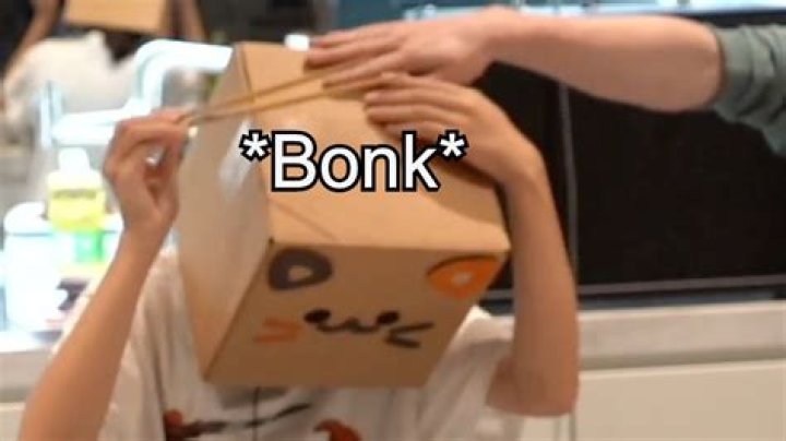 
Fans Think YouTuber Cuptoast Accidentally Face Revealed 