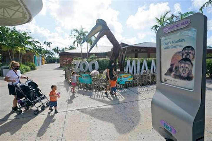 
Florida Zoos and Aquariums Close to Prepare for Hurricane Ian: The ‘Animals Will Be Secured’ 