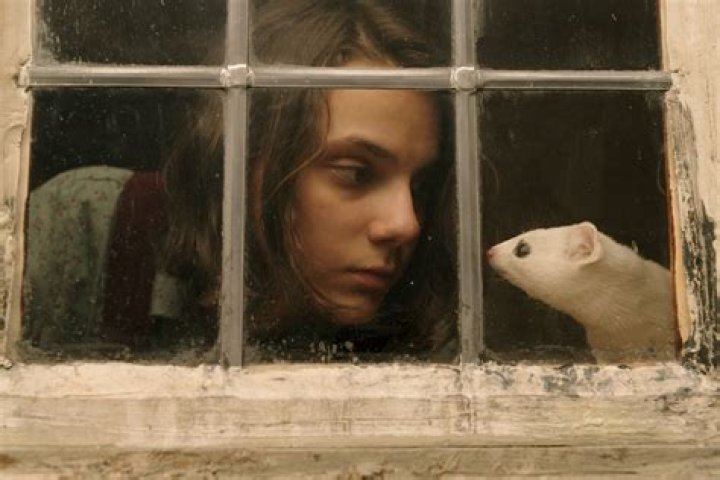 
His Dark Materials: Will there be a spinoff? 