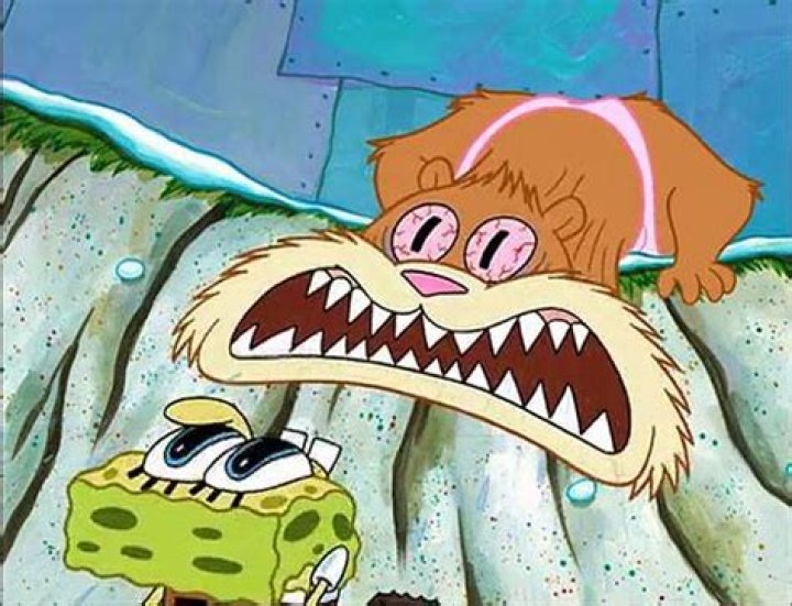 
How did Sandy Davidson die? Aberdeen Music legend cause of death Explained 