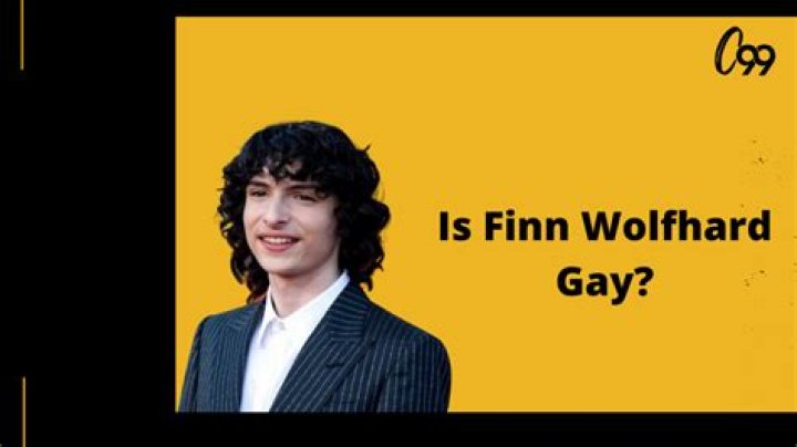 
Is Finn Wolfhard Gay: Know More About His Life! 