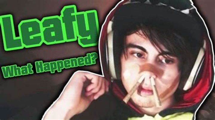 Is Leafyishere Arrested? What Happened To Leafy? Is Leafyishere In Jail?