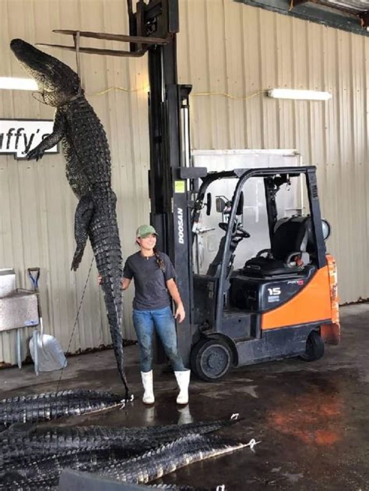 
Jacob Chuckorscranit Height, Weight, Net Worth, Age, Birthday, Wikipedia, Who, Instagram, Biography 