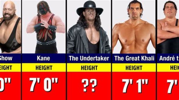 Judy Kain Height, Weight, Net Worth, Age, Birthday, Wikipedia, Who, Instagram, Biography