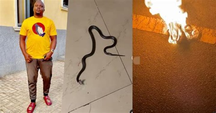 
Kelvin Chizzy Posted A Video Of A Nighttime Invasion Of His Home By A Dark Snake 