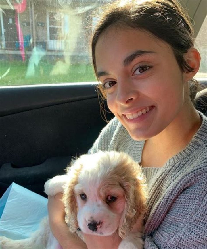 
Madeline Schizas Origin Height, Weight, Net Worth, Age, Birthday, Wikipedia, Who, Nationality, Biography 