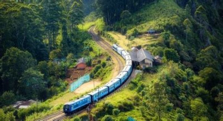 
Majestic train journeys to witness the beauty of Southern India 