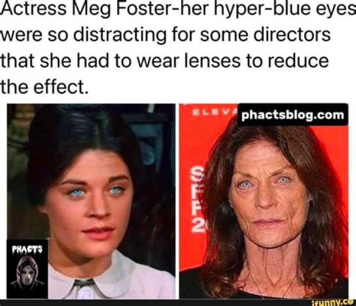 
Meg Foster Eyes – Windows Into The Soul Of The Beautiful Actress 