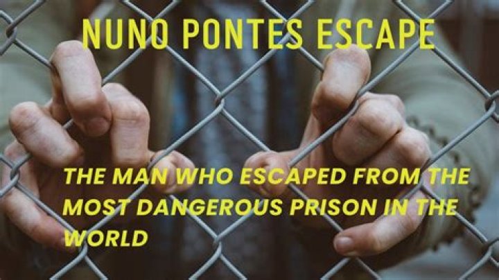 Nuno Pontes Age, Facts, Wikipedia, Who, Nationality, Biography