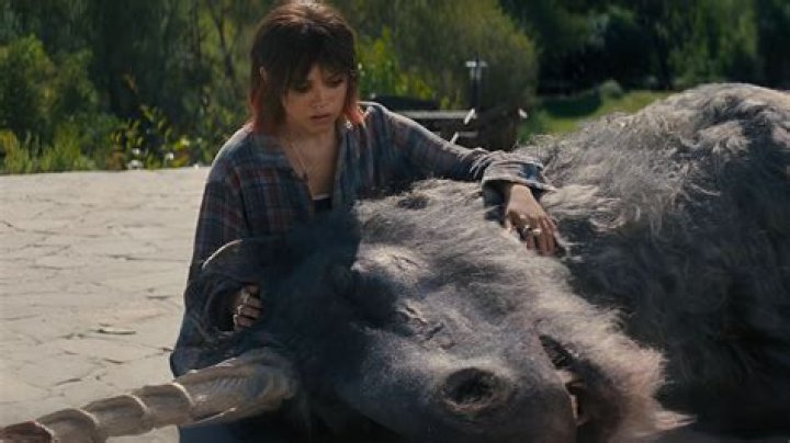 
Paul Eenhoorn Obituary, What was Paul Eenhoorn Cause of Death? 