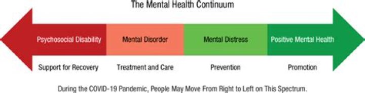 
Robert Crimo Mental Health And Illness Update 