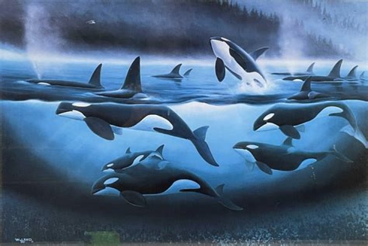 Robert Wyland Age, Birthday, Wikipedia, Who, Nationality, Biography