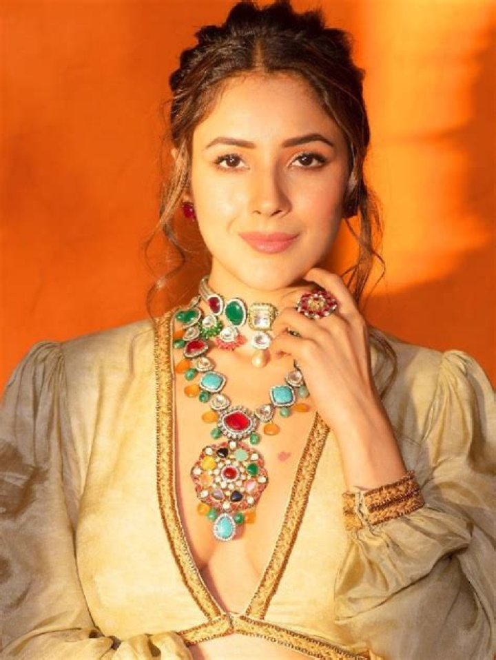 
Shehnaaz Gill Height, Weight, Net Worth, Age, Birthday, Wikipedia, Who, Nationality, Biography 