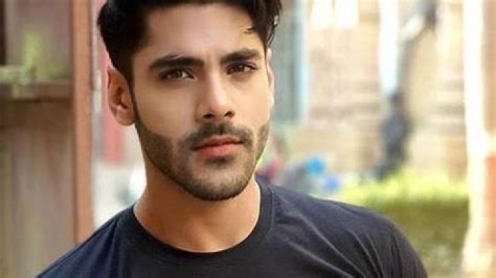Simba Nagpal Height, Weight, Net Worth, Age, Birthday, Wikipedia, Who, Instagram, Biography