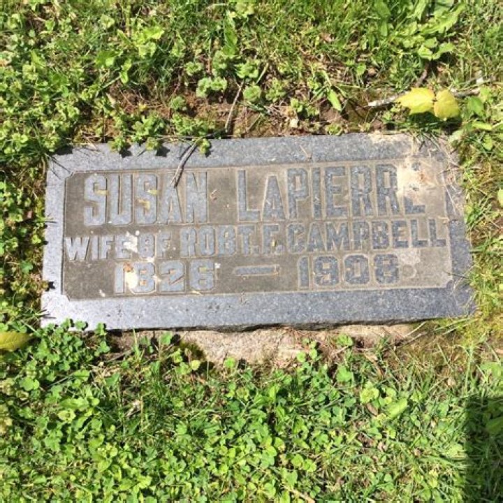 Susan LaPierre Age, Birthday, Wikipedia, Who, Nationality, Biography