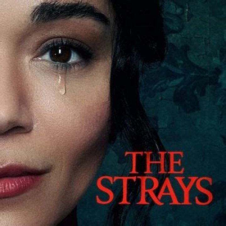 
“The Strays” Is Set To Released On Netflix 