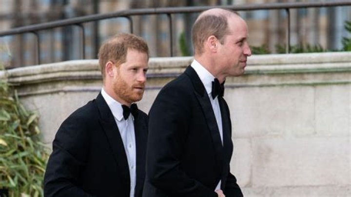 
“This is brutal”: Prince Harry claims brother William physically attacked him, leaving netizens in disbelief 