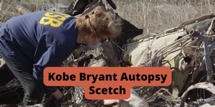 
This Is Why Kobe Bryant Autopsy Sketch Should Not Have Been On Reddit 