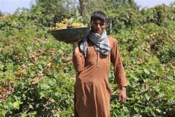 
UN envoy sees need for engagement with Afghanistan’s Taliban 