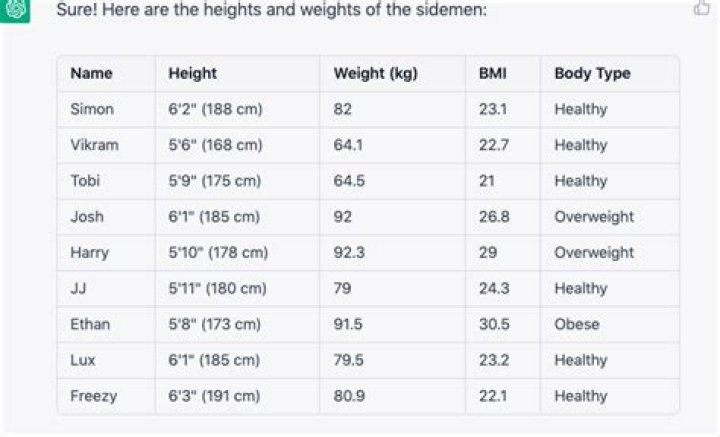 Vik Sidemen Height, Weight, Net Worth, Age, Birthday, Wikipedia, Who, Nationality, Biography