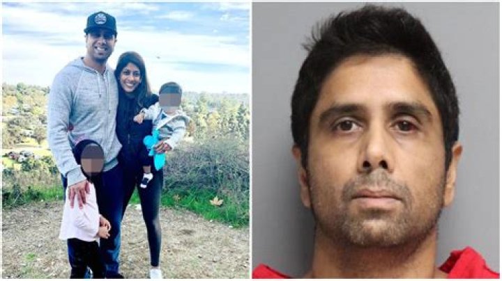 
What are the charges against Dharmesh Patel? California doctor involved in intentional Tesla crash is held in custody 