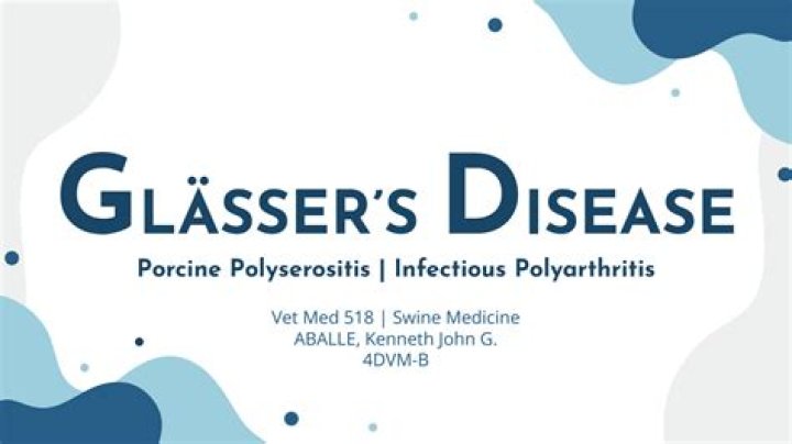 
What Disease Does Adam Glasser Have? Fans Worried About His Health 