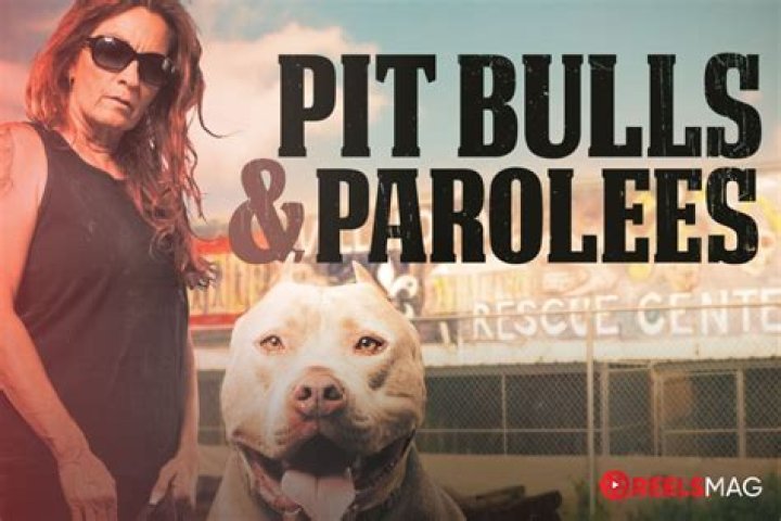 Where Is Marcel On Pitbulls And Parolees Now -What Happened To Him?