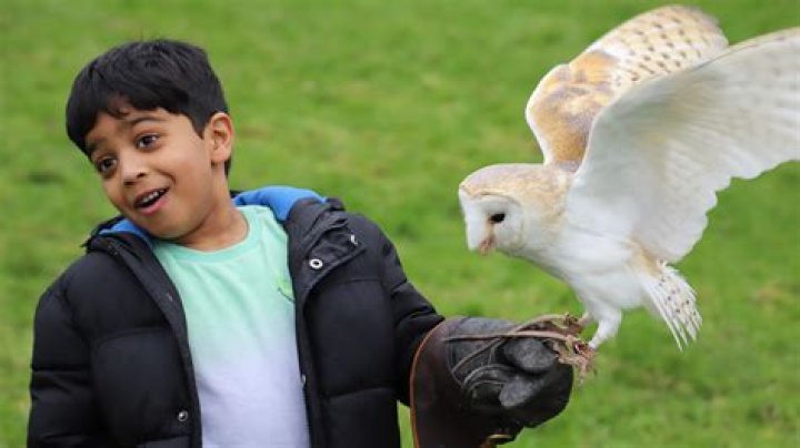 Who Are Anil And Sneha Kunchala? Meet BGT Contestant Aneeshwar Kunchala Parents