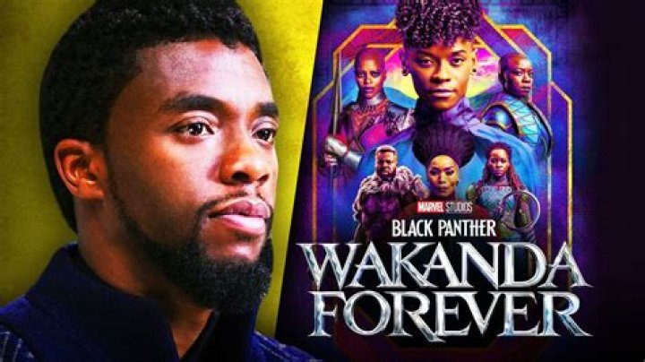 
Who is the New Black Panther After T’Challa’s Death? 
