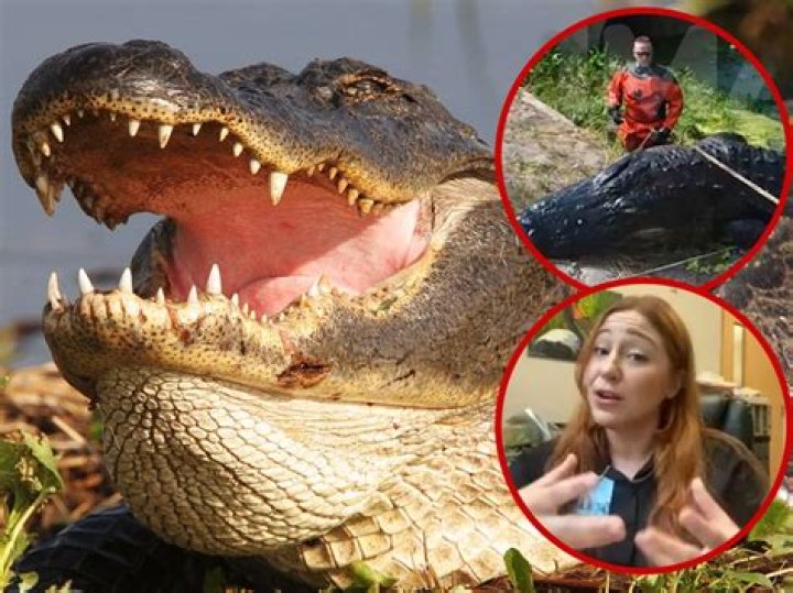 
Who was Sabrina Peckham? Florida woman eaten by 13-feet alligator 