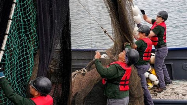 
Why couldn’t Dirty Hands win their team challenge? Reasons explored as team loses by “one tree” on Tough as Nails 